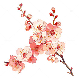 桃花盛开春意盎然