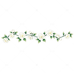 简约白花藤蔓装饰图案