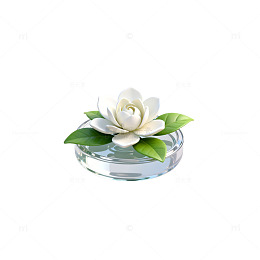 简约透明玻璃瓶白花装饰