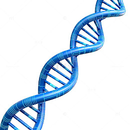 蓝色科技DNA双螺旋结构图