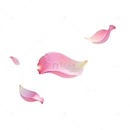 梦幻花瓣飘落唯美插画