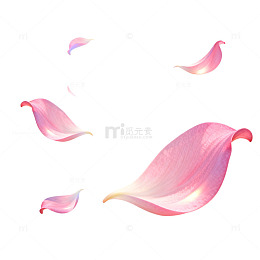 浪漫粉色花瓣飘落插画素材