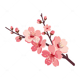 春日桃花轻舞飞扬