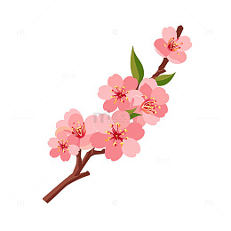 春日桃花盛开缤纷世界