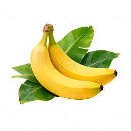 新鲜香蕉绿叶插图