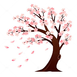 樱花盛开春季卡通插画