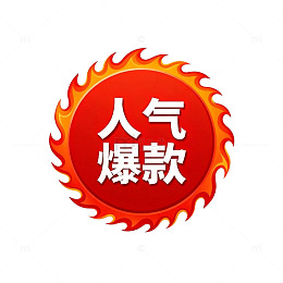 火焰人气爆款标识