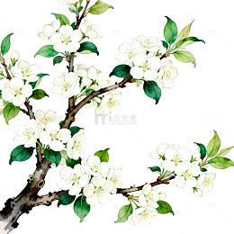 中国风水墨花卉装饰画