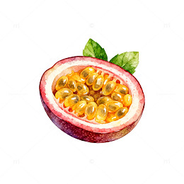 水彩百香果插画