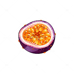水彩百香果切面插画