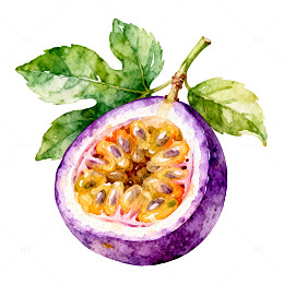水彩画百香果插画设计素材