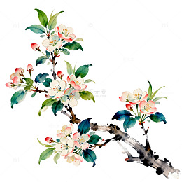 水墨风格花卉插画设计元素