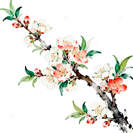 工笔风格梅花国画艺术图片