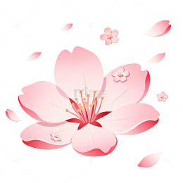 粉色樱花矢量插画设计素材