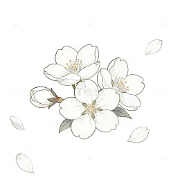 简约风白色花朵图案设计素材