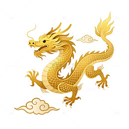 金色中国龙图案插画