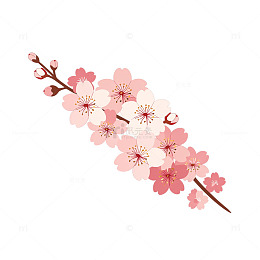 春日樱花缤纷画卷