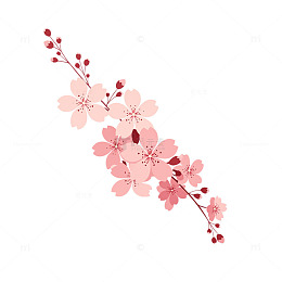 樱花盛开梦幻如诗