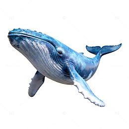 蓝色鲸鱼卡通插画素材