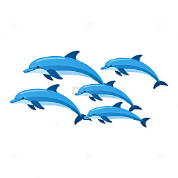 卡通海豚游泳图案