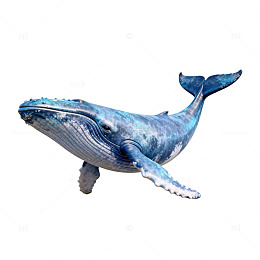 蓝色鲸鱼数字绘画