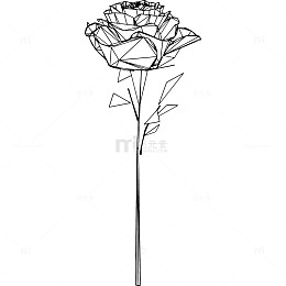 玫瑰矢量线稿