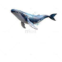海洋巨兽鲸鱼插画素材