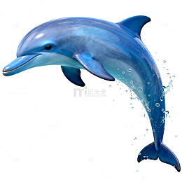 蓝色海豚跃出水面插画