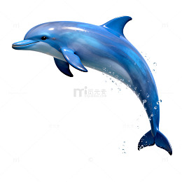 蓝色海豚跃出水面画面