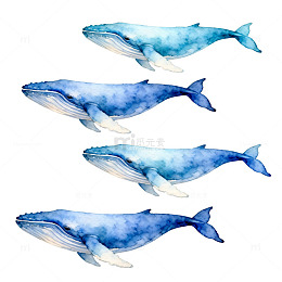 水彩鲸鱼海洋生物装饰画