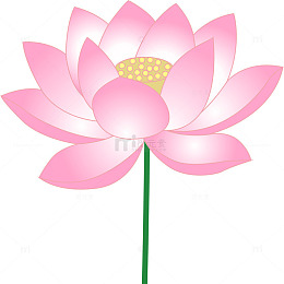 粉色莲花矢量插画