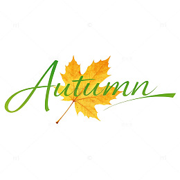 秋日元素枫叶字体设计