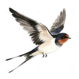 春燕飞翔自由装饰