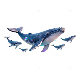 梦幻鲸鱼天空游