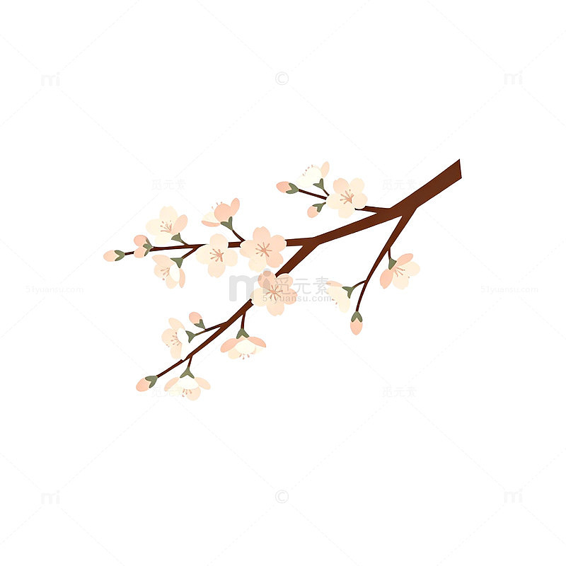 淡雅樱花插画