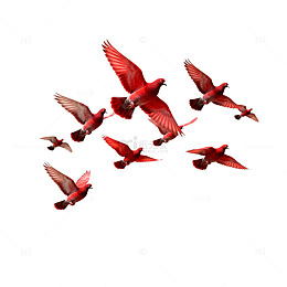 红色鸟儿飞翔群图