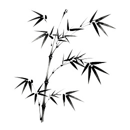 水墨风格竹枝插画图片