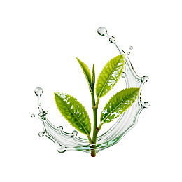 茶芽与水花的清新瞬间