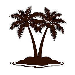 两棵棕榈树的剪影图案