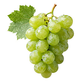 新鲜绿色葡萄串带绿叶