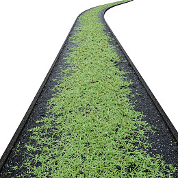 弯曲小径铺满绿色植物