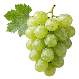 新鲜绿色葡萄带叶特写