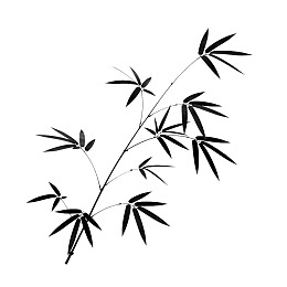 黑白竹枝简洁线条画图片