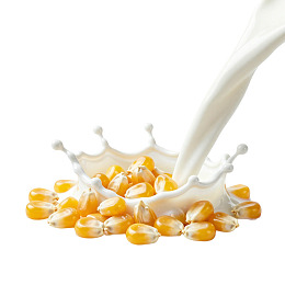 牛奶倾洒玉米粒溅起水花