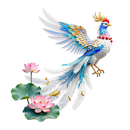 色彩斑斓的凤凰飞舞于莲花之上