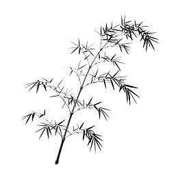 黑白竹枝剪影图图片