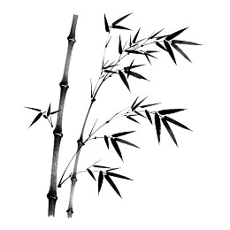 黑白水墨竹枝图图片