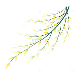 简约柳枝插画元素