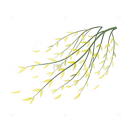 简约柳枝插图设计元素