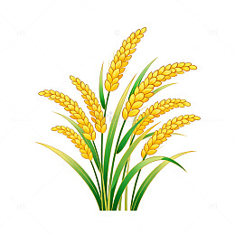 卡通风格稻谷插画元素